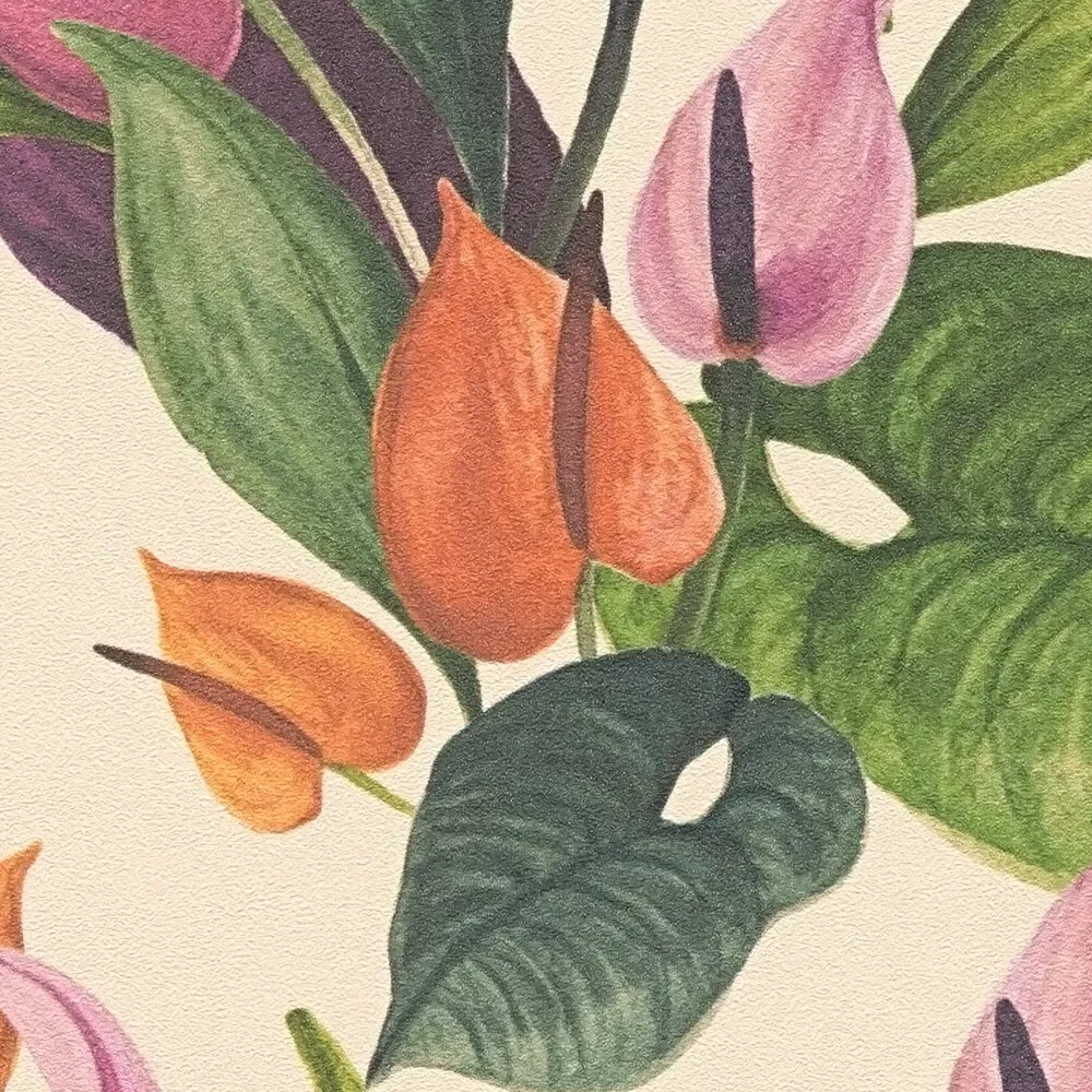 Vista 5