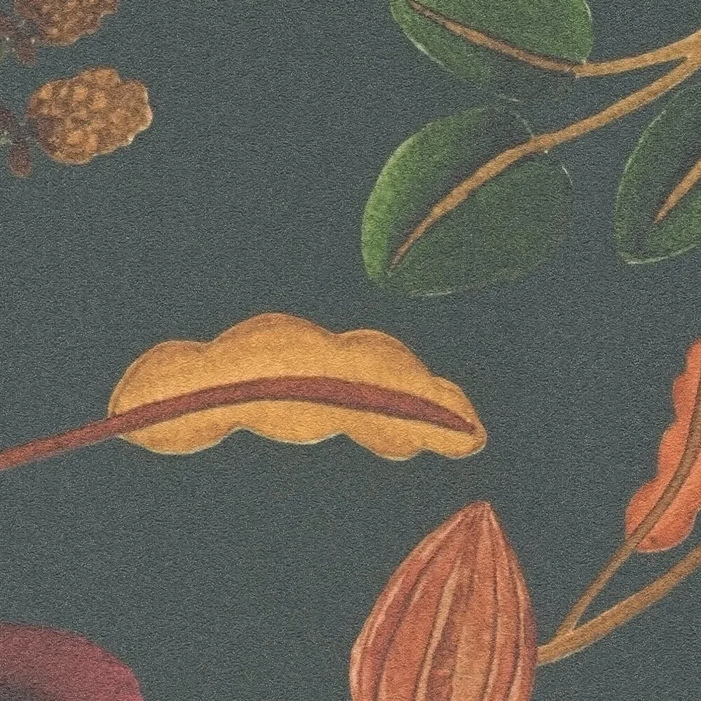 Vista 5
