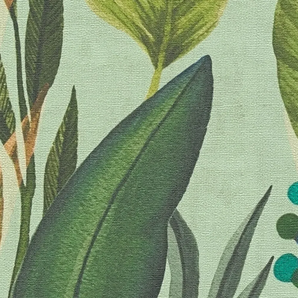 Vista 5