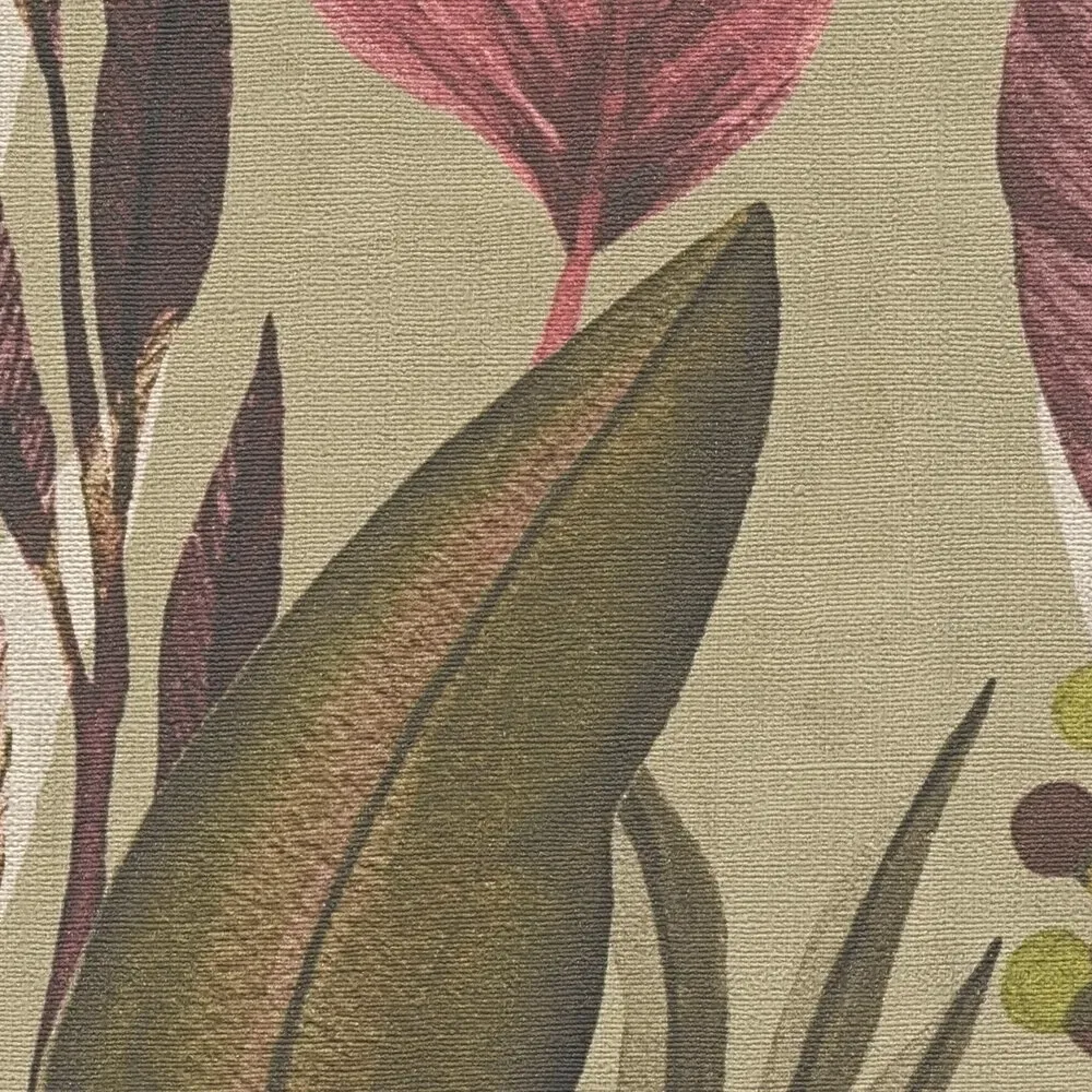 Vista 5