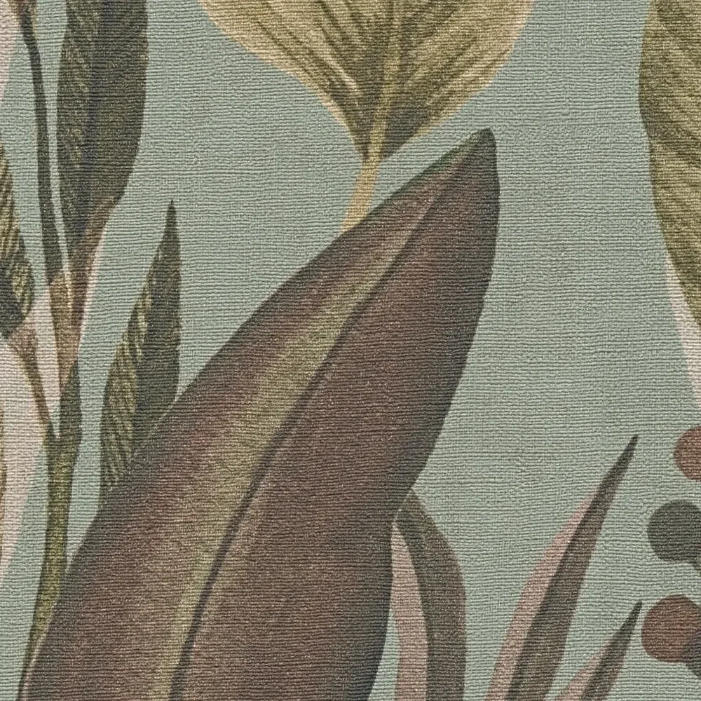 Vista 5