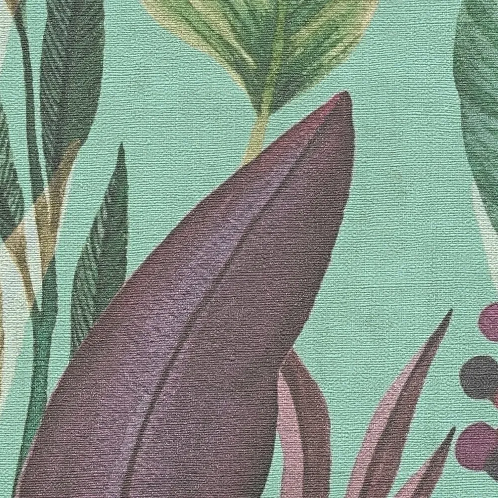 Vista 5