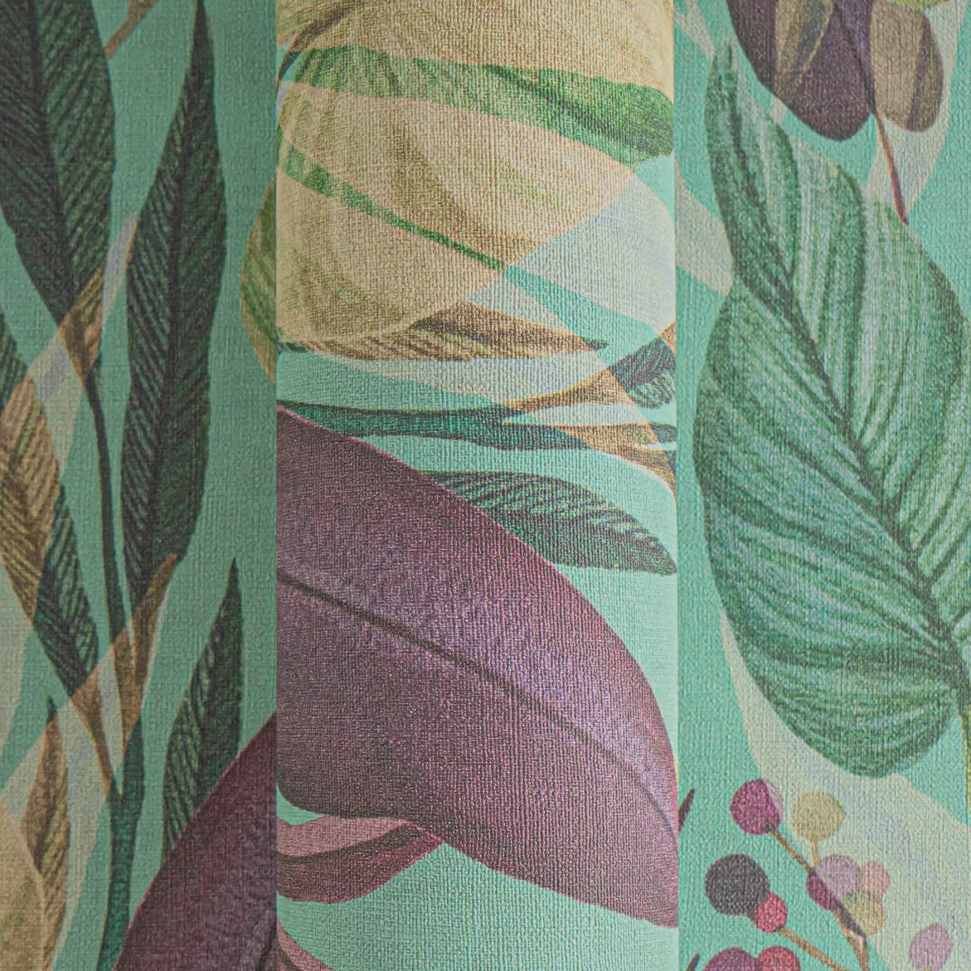 Vista 6