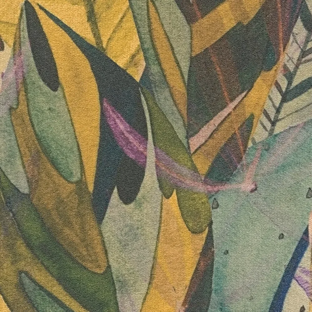 Vista 5