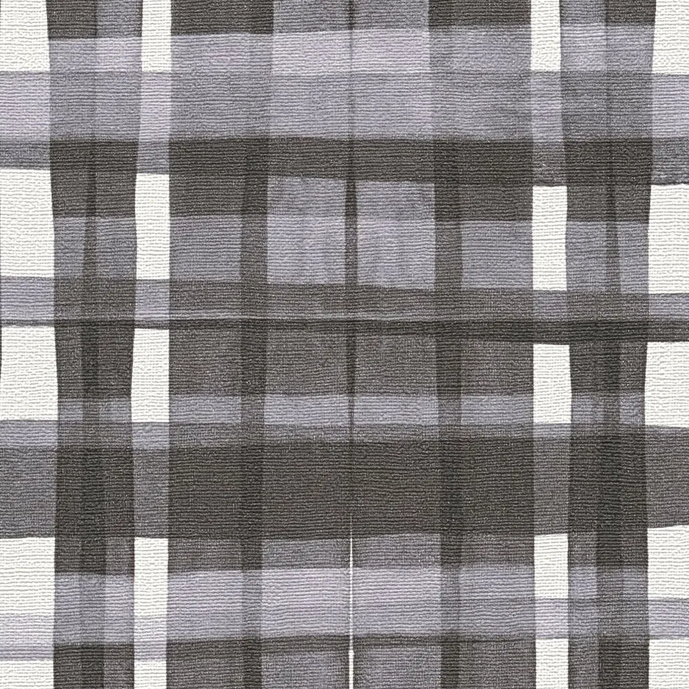 Vista 5