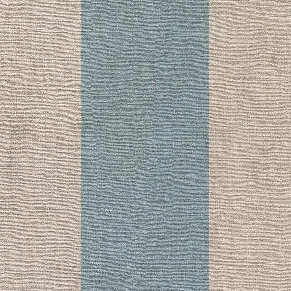 Vista 5