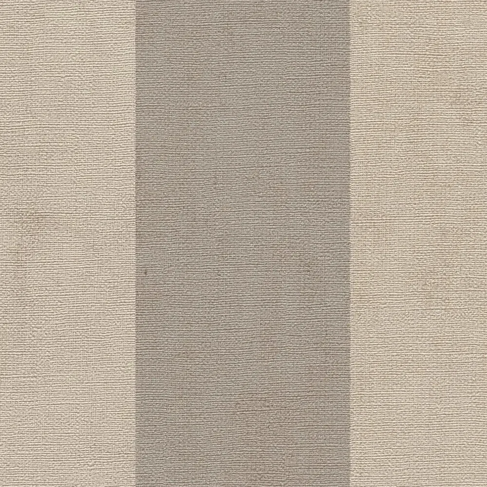 Vista 5