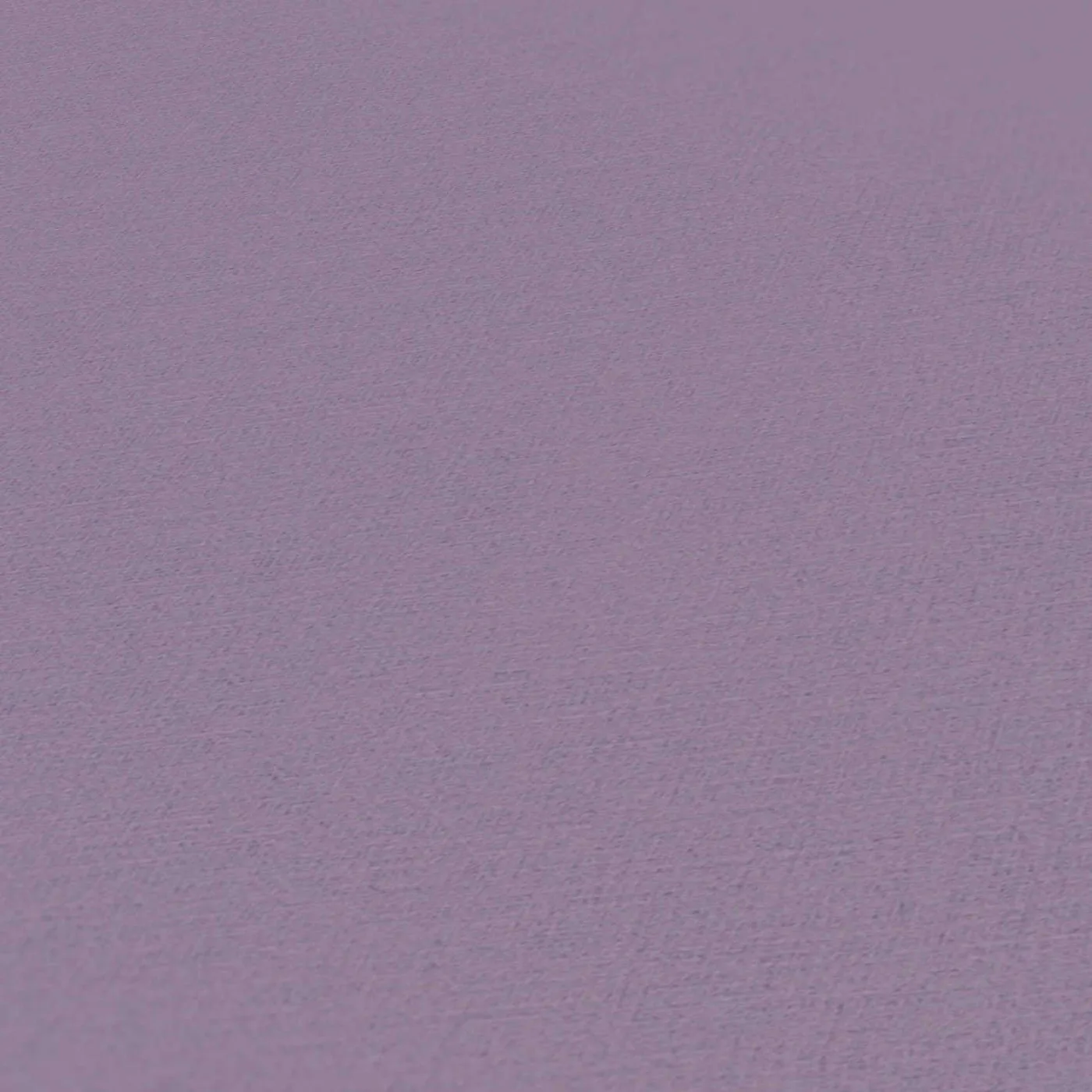 Vista 6