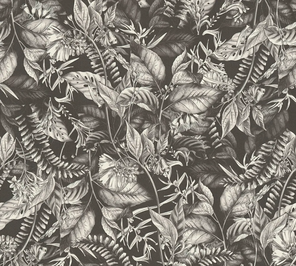 Drawn into Nature - Negro