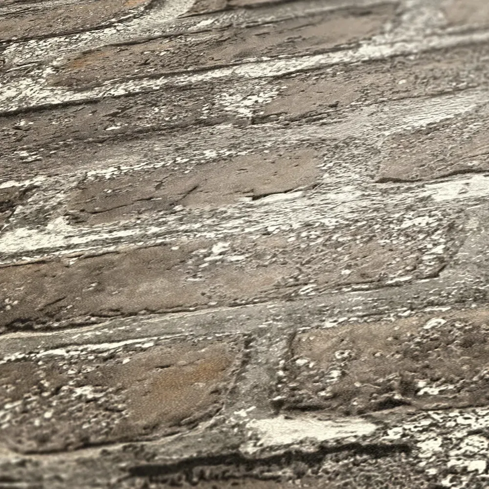 Vista 4