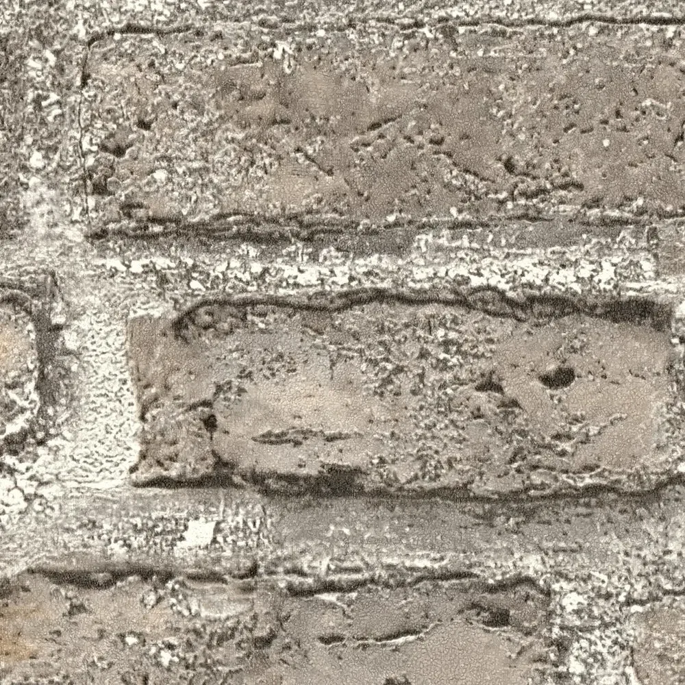 Vista 5