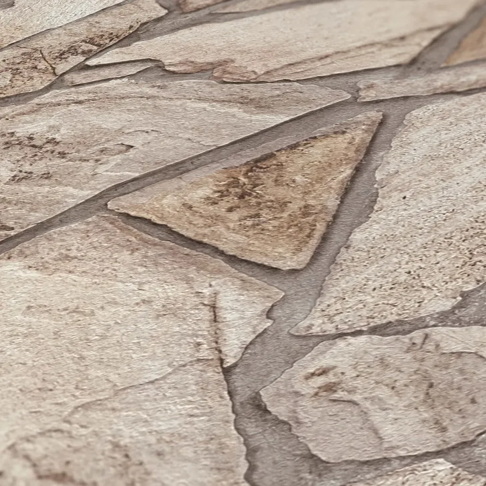 Vista 5