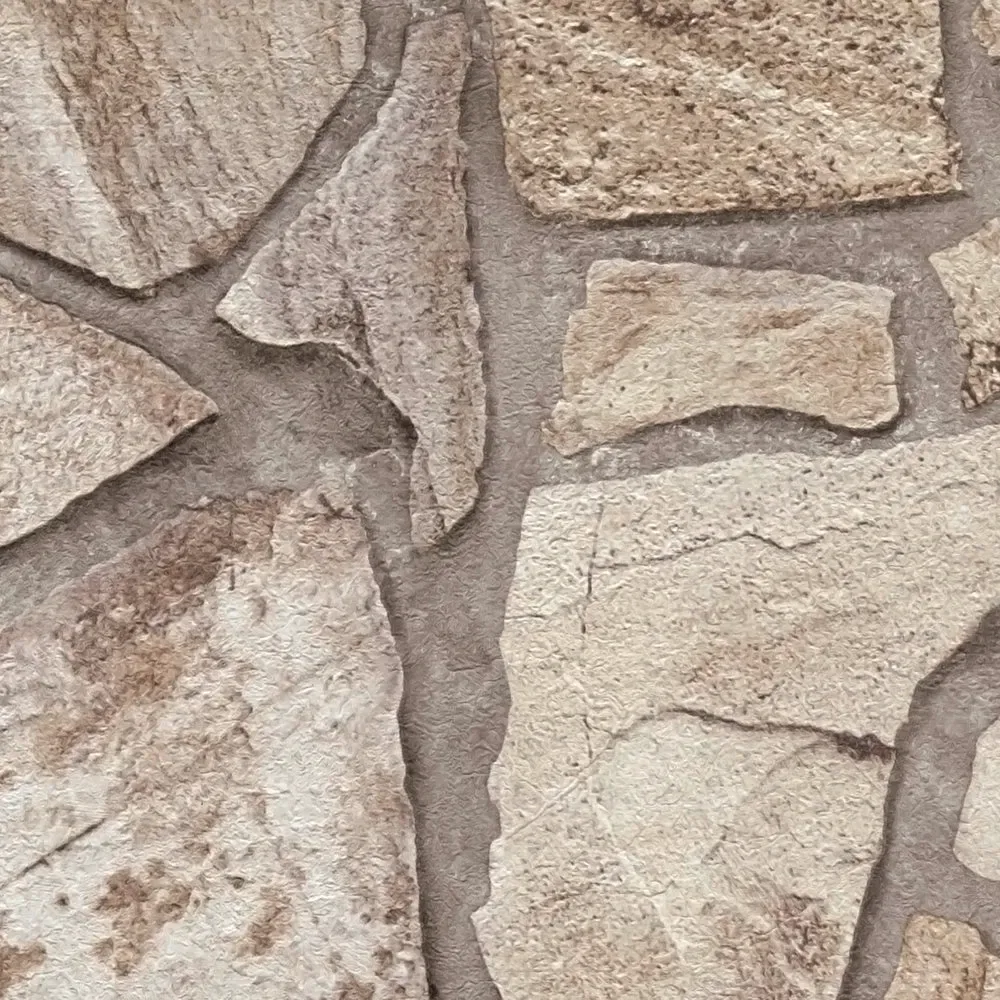 Vista 6