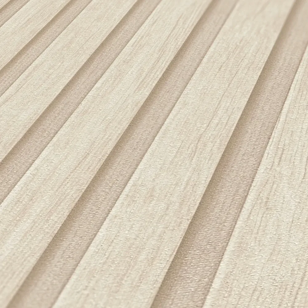 Vista 5