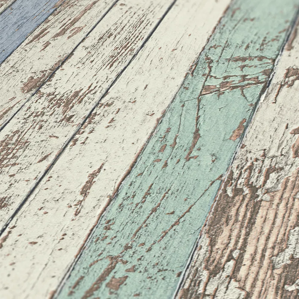Vista 4