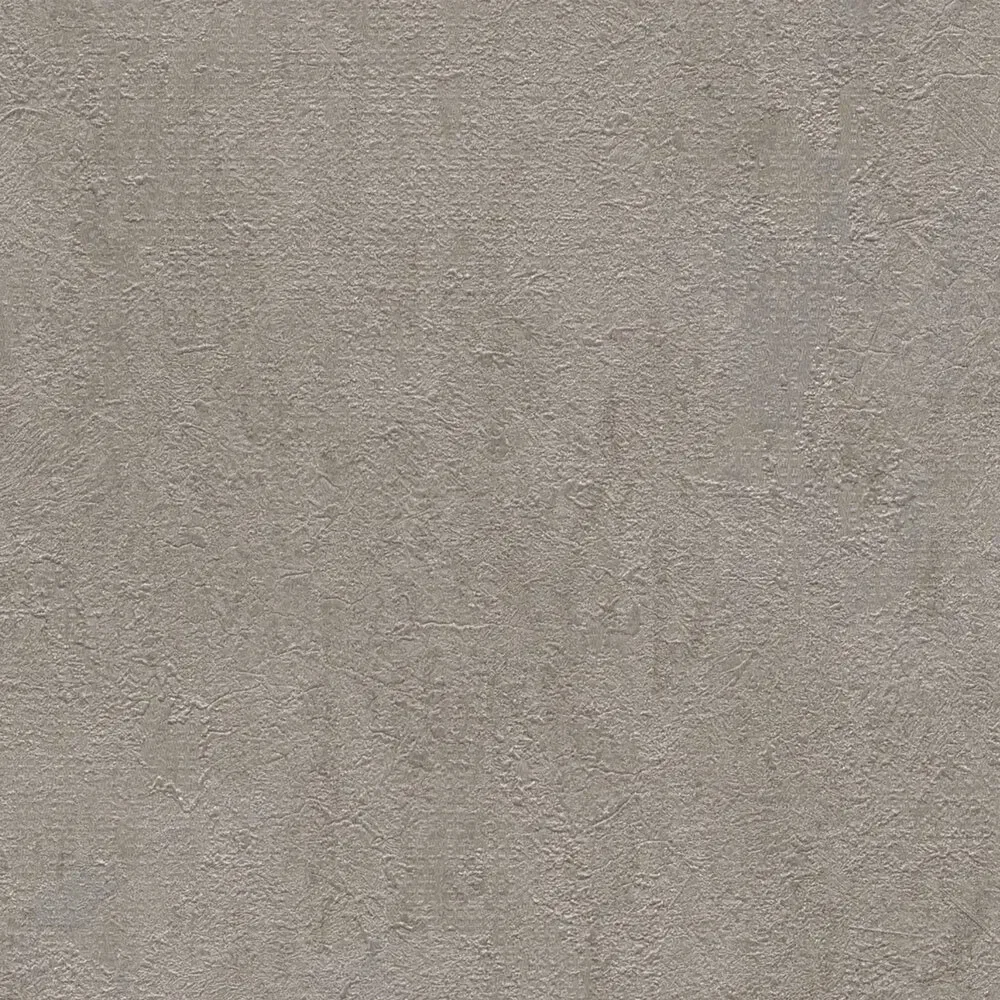 Vista 5