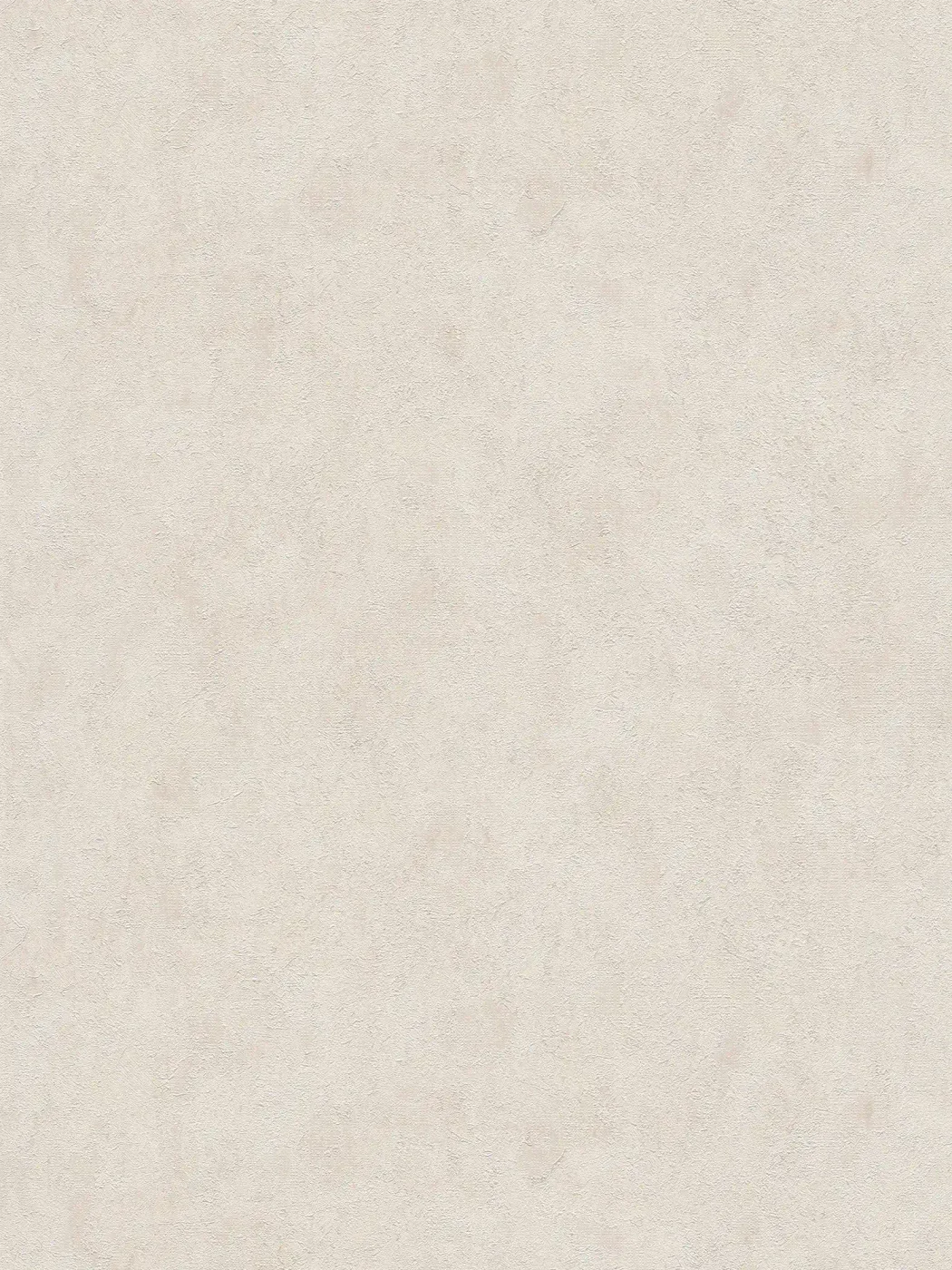 Vista 6