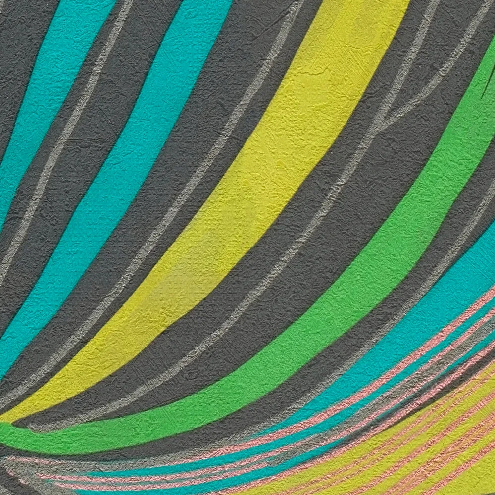 Vista 5