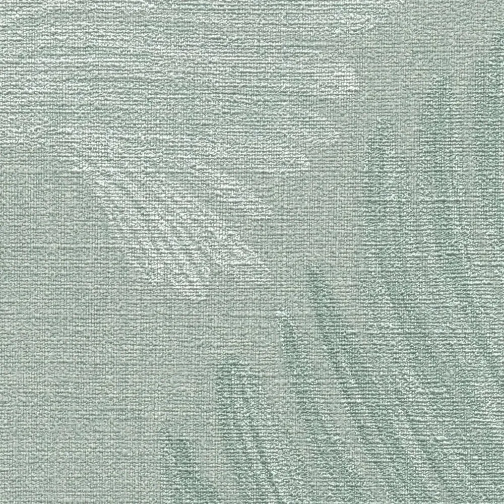 Vista 5