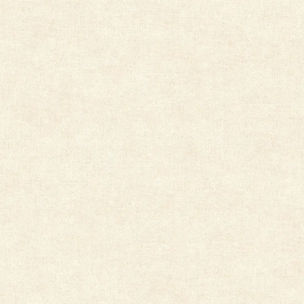 Vista 6