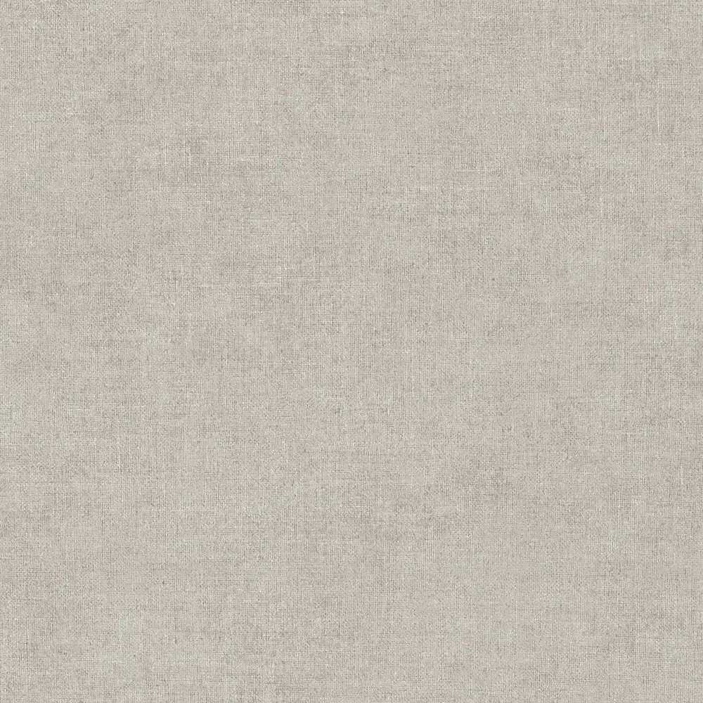 Vista 6