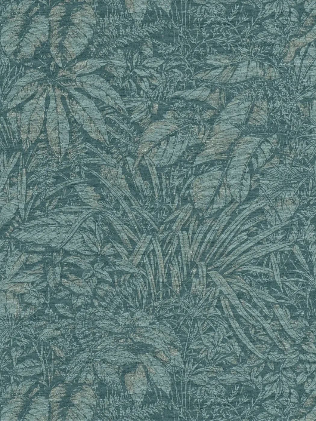 Vista 6