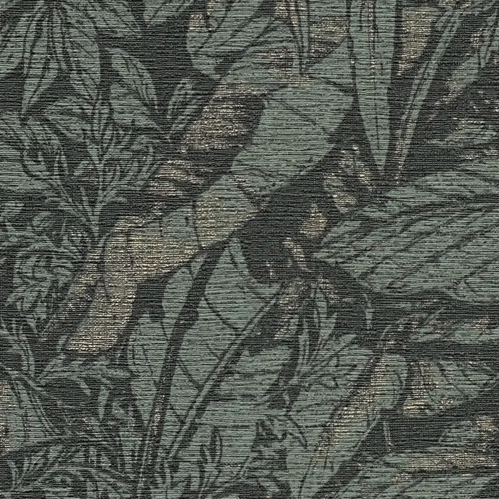 Vista 5