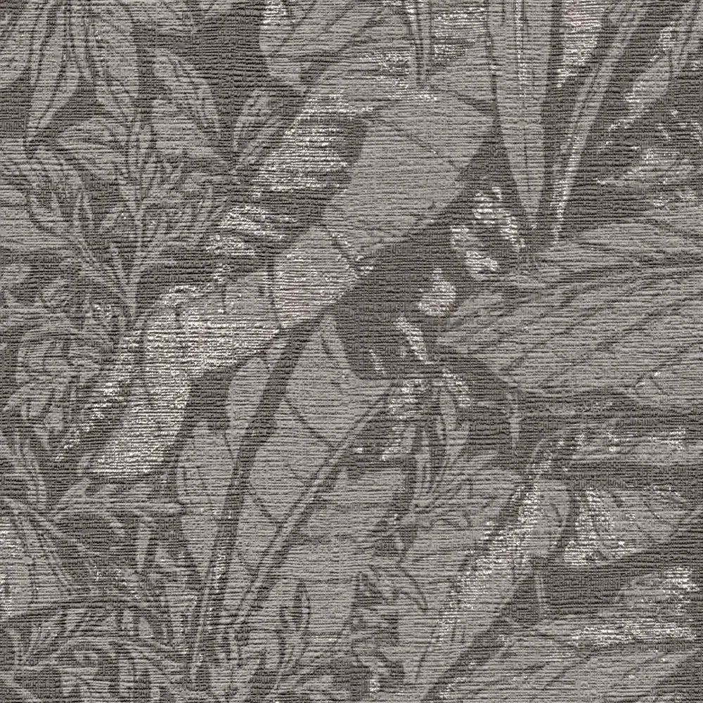 Vista 5