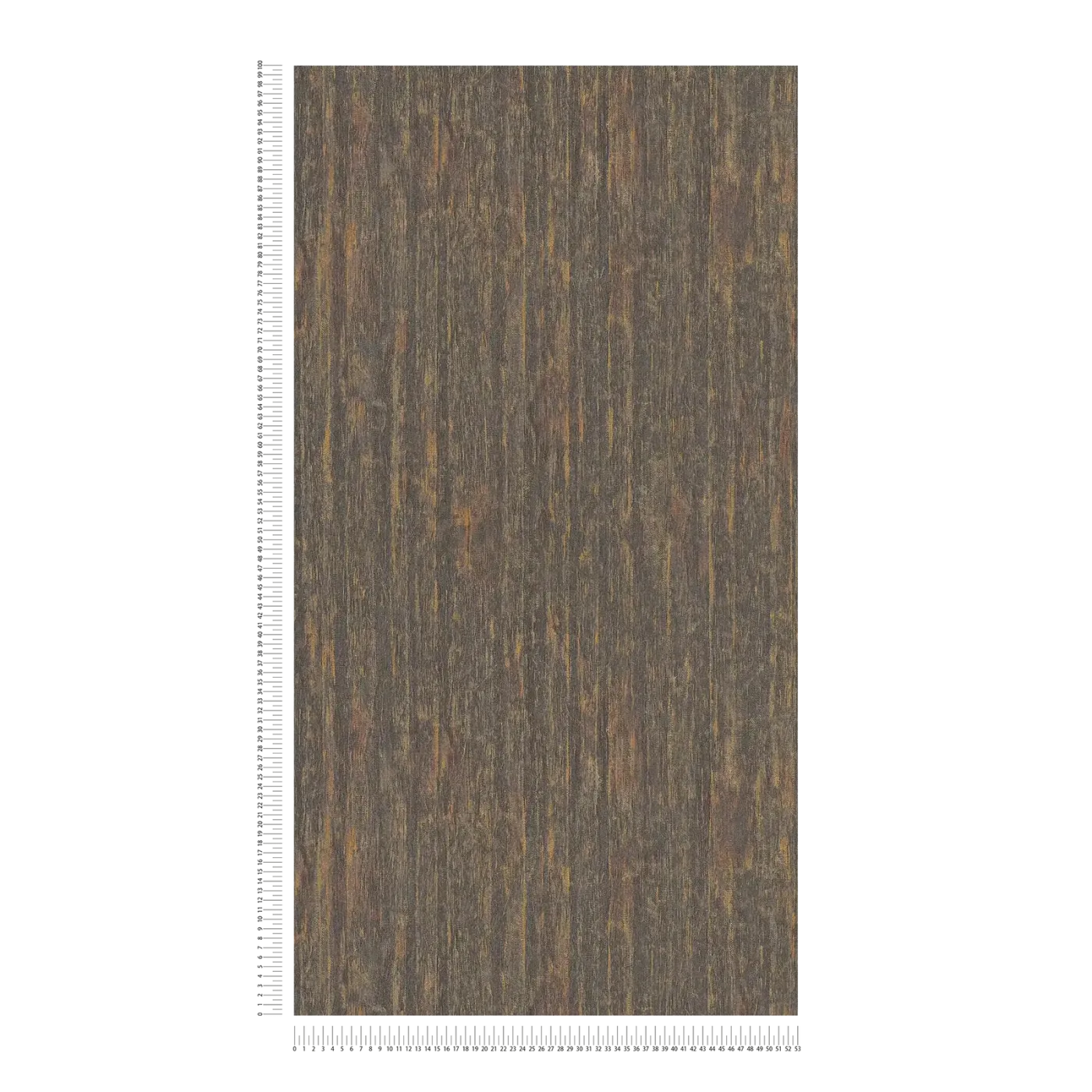 Vista 5