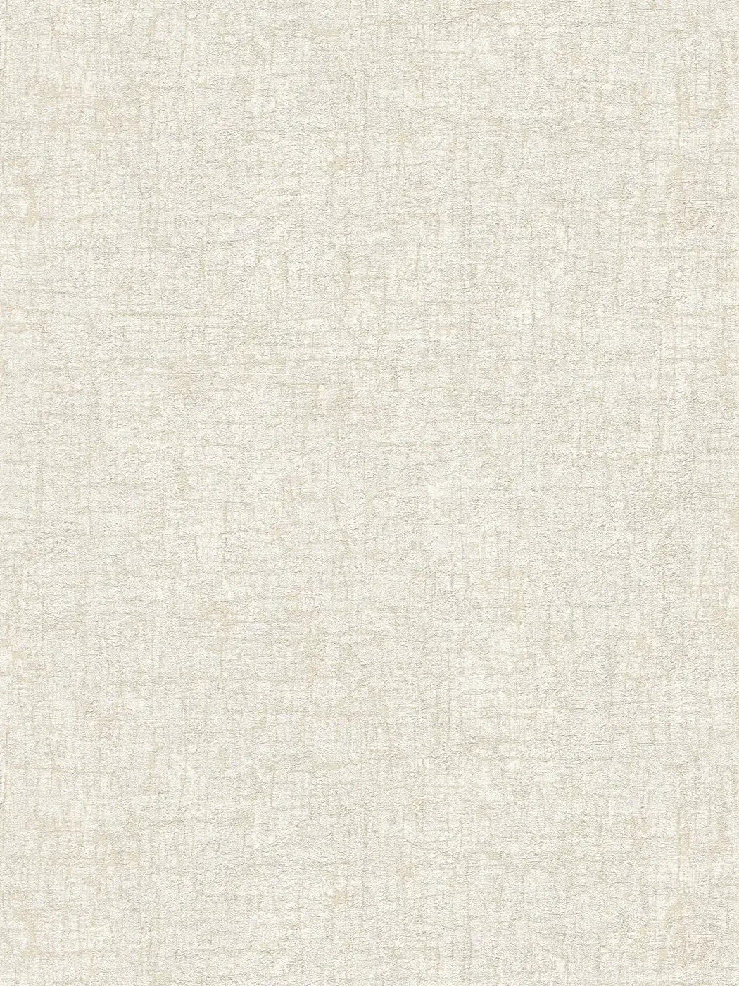 Vista 5