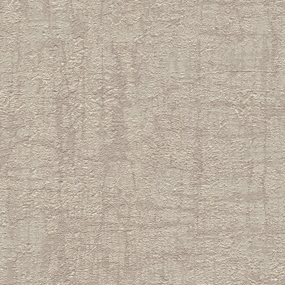 Vista 5