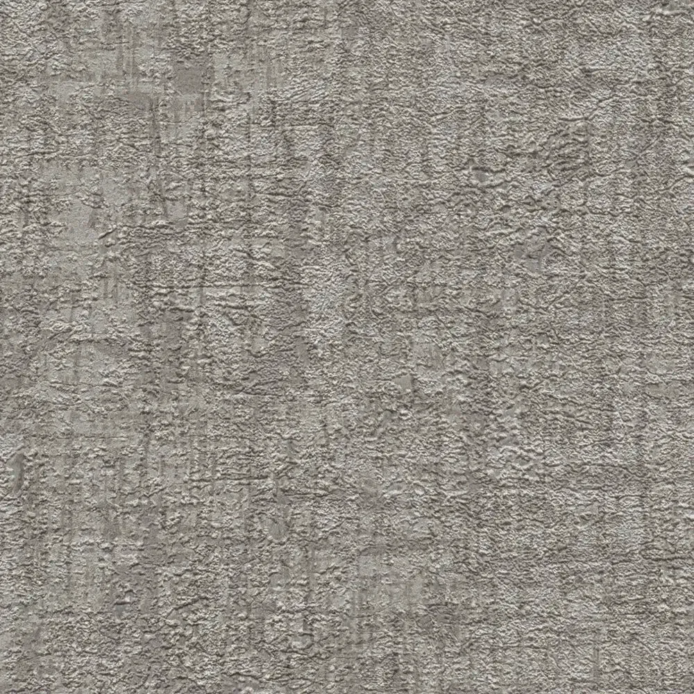 Vista 5