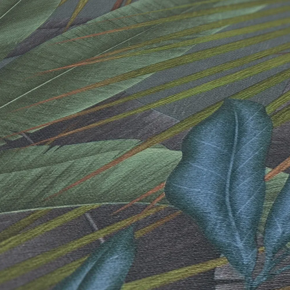 Vista 5