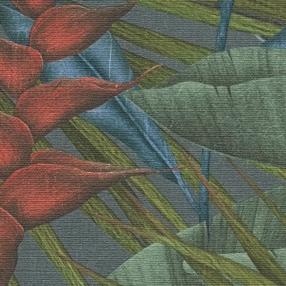 Vista 6
