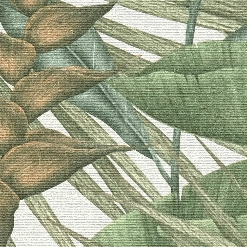 Vista 5