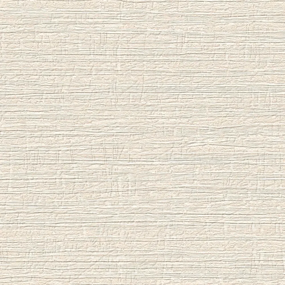 Vista 6