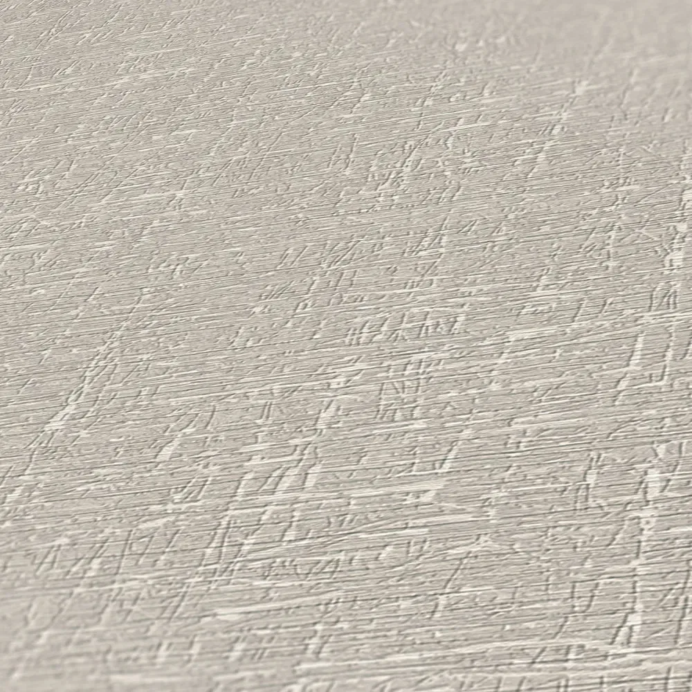 Vista 5
