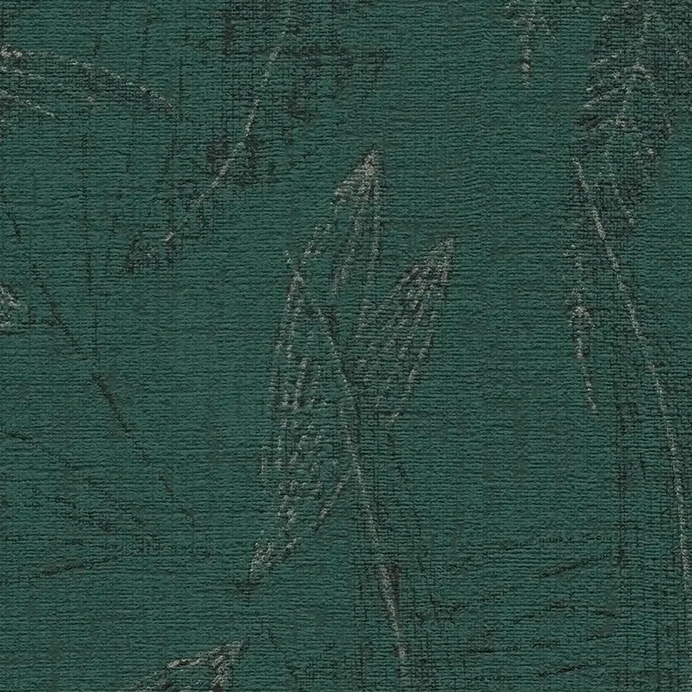 Vista 6