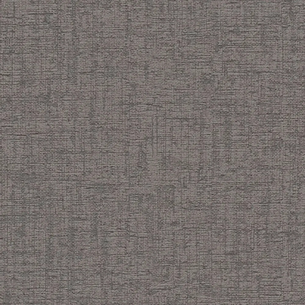 Vista 5