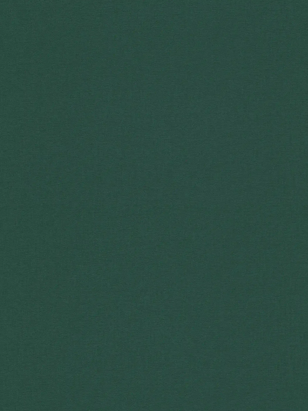 Stories of life - Verde