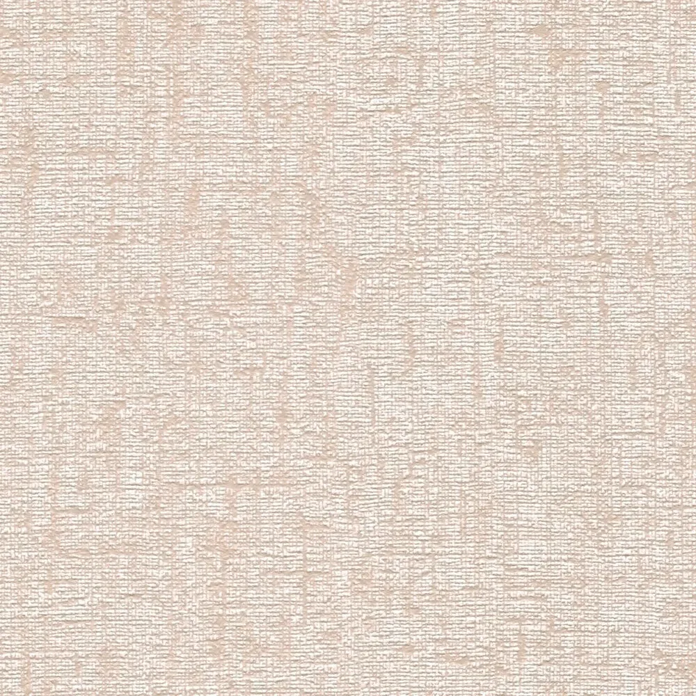 Vista 5