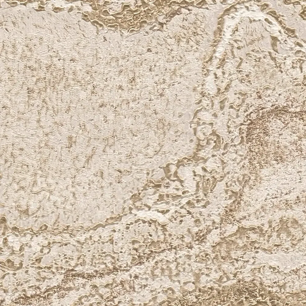 Vista 5