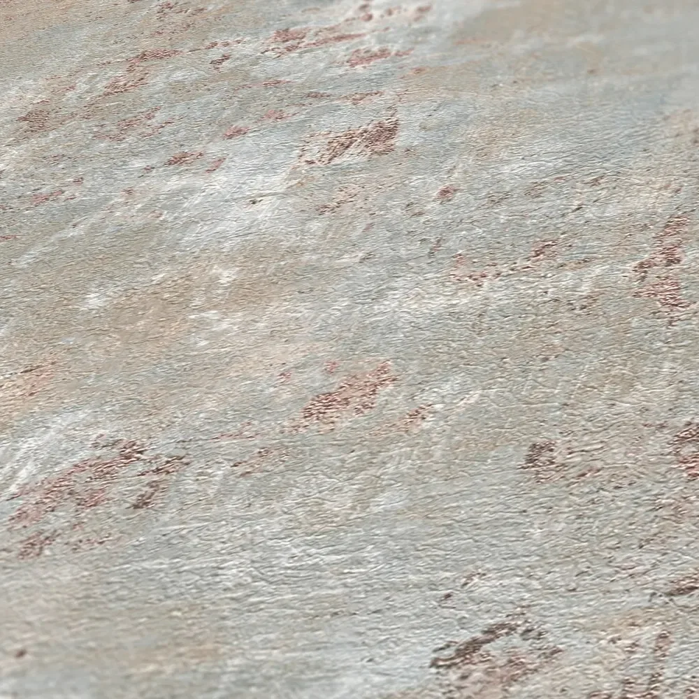 Vista 5