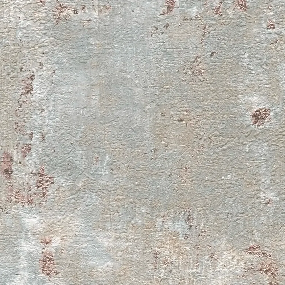 Vista 6