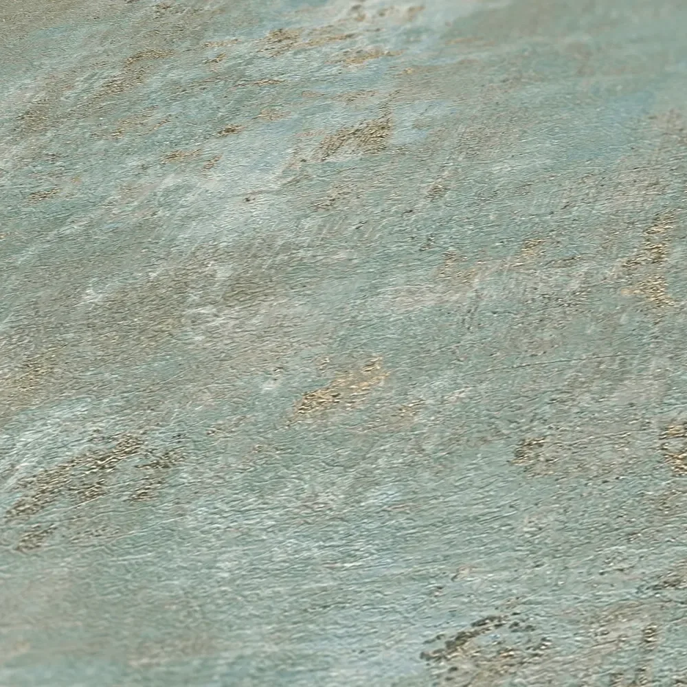 Vista 5
