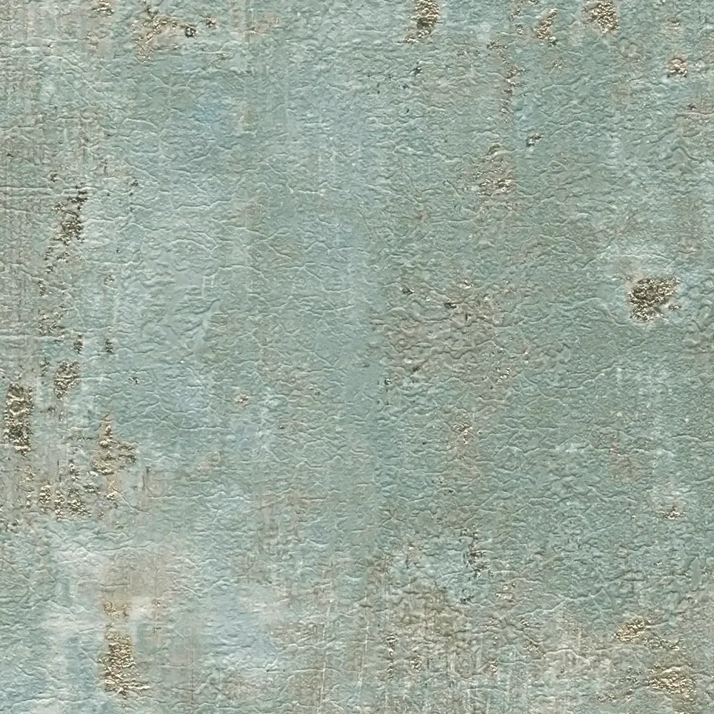 Vista 6