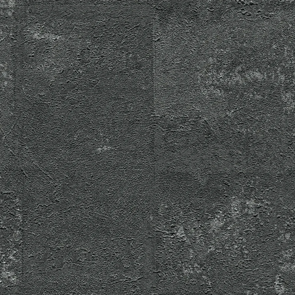 Vista 5
