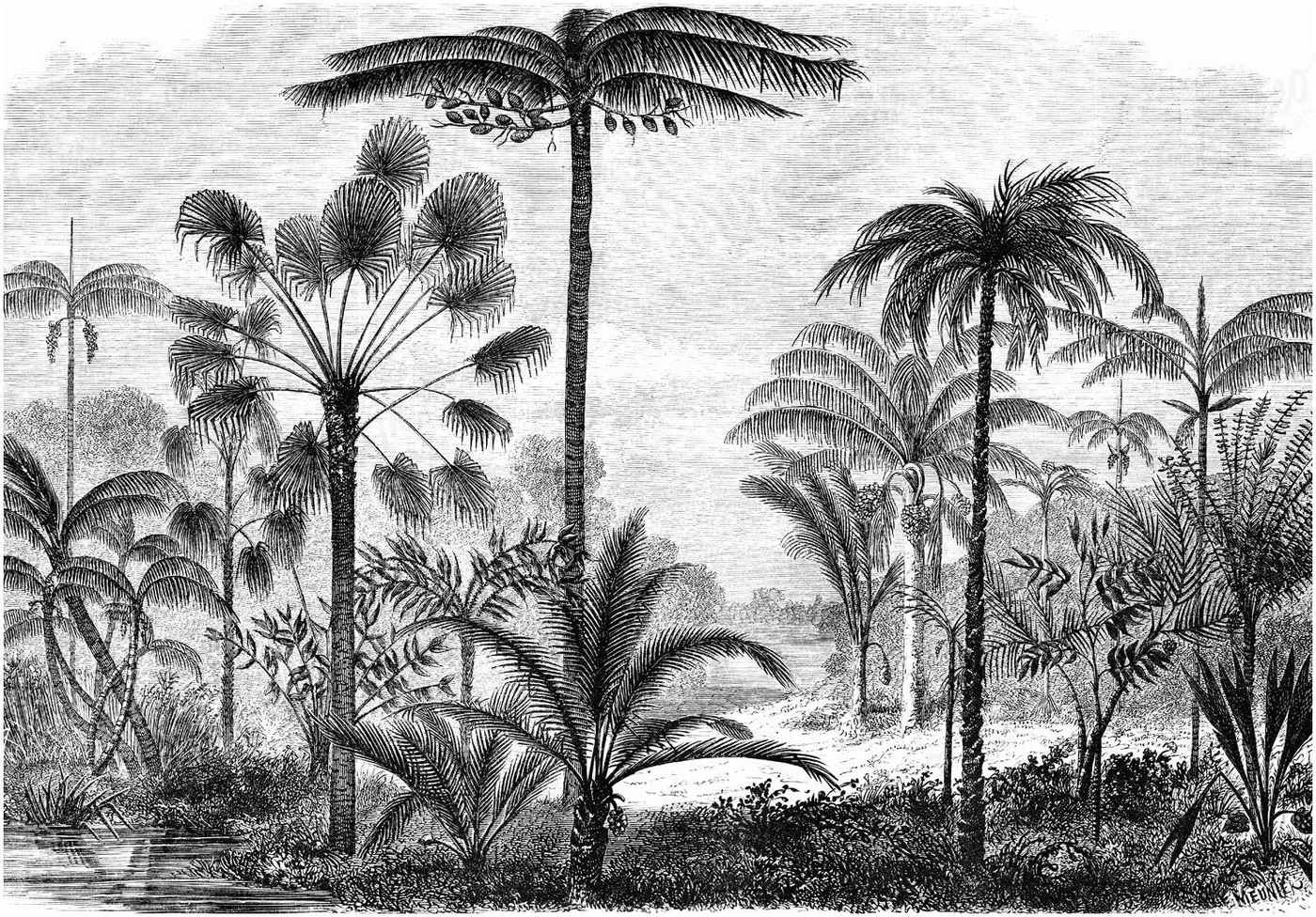 Vista 3