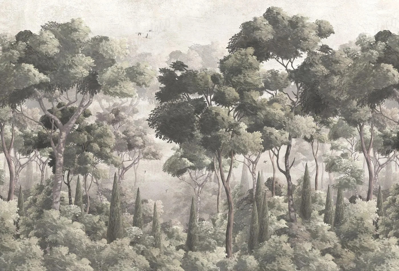 Vista 3