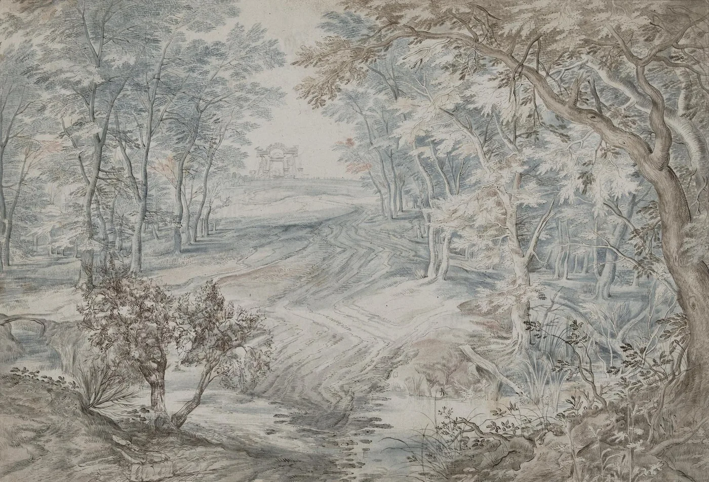 Vista 2